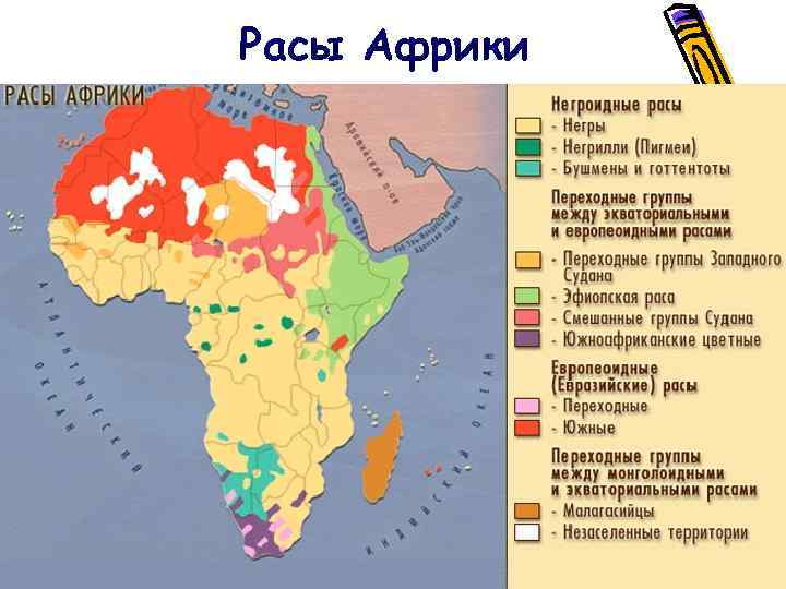 Расы Африки 