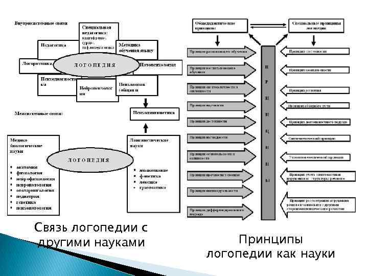 Логопедия в таблицах и схемах