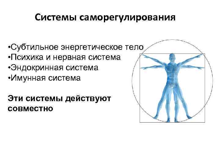 Системы саморегулирования • Субтильное энергетическое тело • Психика и нервная система • Эндокринная система