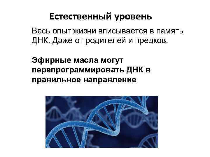 Естественный уровень Весь опыт жизни вписывается в память ДНК. Даже от родителей и предков.