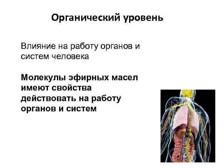 Органический уровень Влияние на работу органов и систем человека Молекулы эфирных масел имеют свойства
