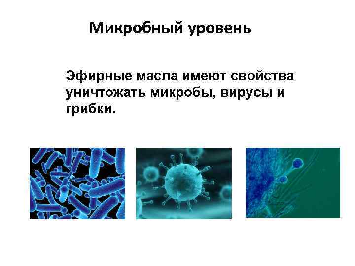 Микробный уровень Эфирные масла имеют свойства уничтожать микробы, вирусы и грибки. 