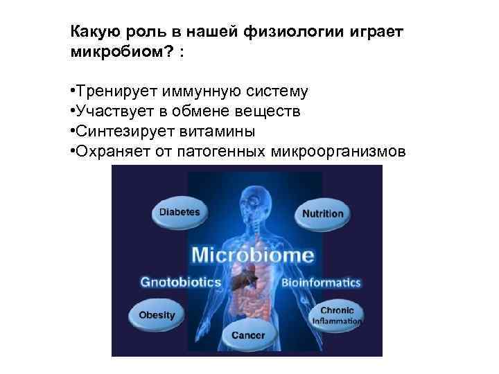 Какую роль в нашей физиологии играет микробиом? : • Тренирует иммунную систему • Участвует