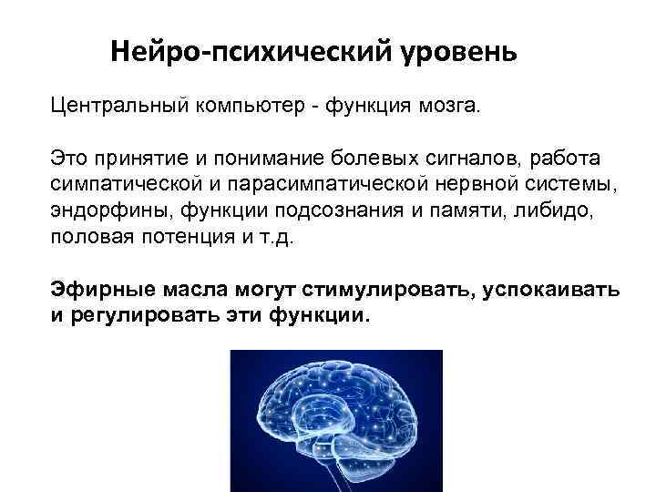 Нейро-психический уровень Центральный компьютер - функция мозга. Это принятие и понимание болевых сигналов, работа
