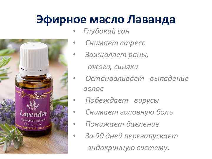 Эфирное масло Лаванда • Глубокий сон • Снимает стресс • Заживляет раны, ожоги, синяки