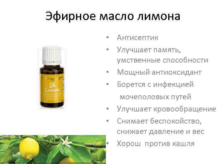 Эфирное масло лимона • Антисептик • Улучшает память, умственные способности • Мощный антиоксидант •