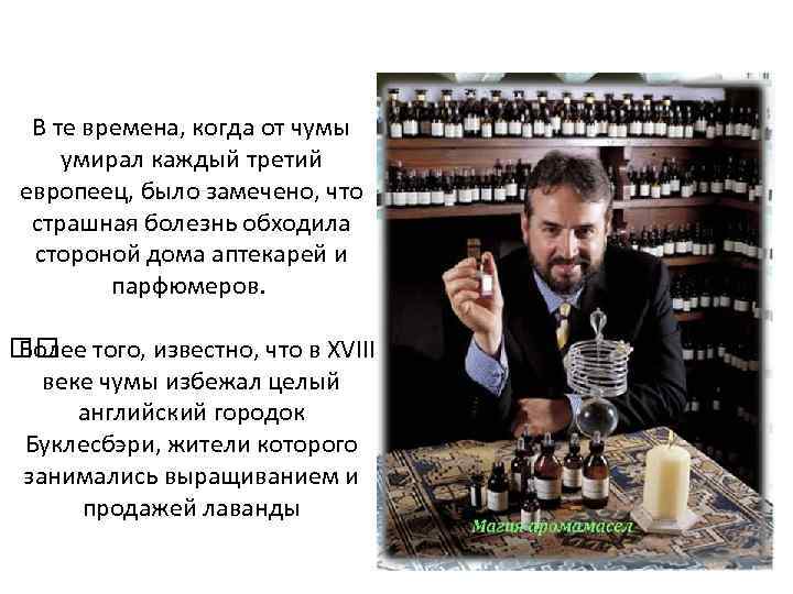 В те времена, когда от чумы умирал каждый третий европеец, было замечено, что страшная