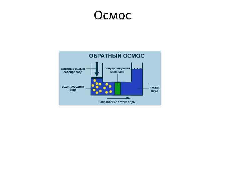 Осмос 