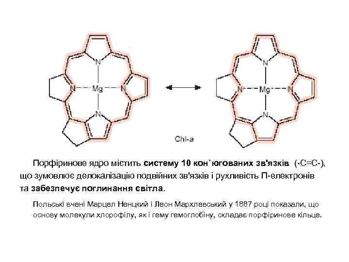 Порфіринове ядро містить систему 10 кон`югованих зв'язків (-С=С-), що зумовлює делокалізацію подвійних зв'язків і