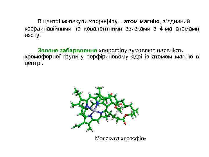 В центрі молекули хлорофілу – атом магнію, з`єднаний координаційними та ковалентними звязками з 4