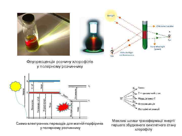 Флуоресценція розчину хлорофілів у полярному розчиннику Схема електронних переходів для магній-порфіринів у полярному розчиннику