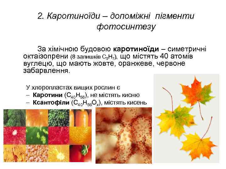 2. Каротиноїди – допоміжні пігменти фотосинтезу За хімічною будовою каротиноїди – симетричні октаізопрени (8