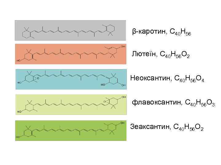 β-каротин, С 40 Н 56 Лютеїн, С 40 Н 56 О 2 Неоксантин, С