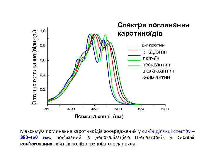 Оптичне поглинання (відн. од. ) Спектри поглинання каротиноїдів β-каротин лютеїн неоксантин віолаксантин зеаксантин Довжина