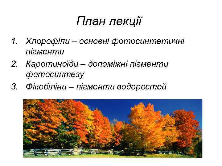 План лекції 1. Хлорофіли – основні фотосинтетичні пігменти 2. Каротиноїди – допоміжні пігменти фотосинтезу