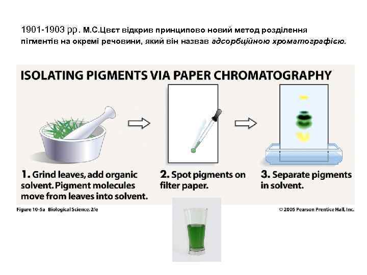 1901 -1903 рр. М. С. Цвєт відкрив принципово новий метод розділення пігментів на окремі