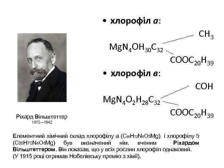  • хлорофіл а: Mg. N 4 ОH 30 C 32 • хлорофіл в: