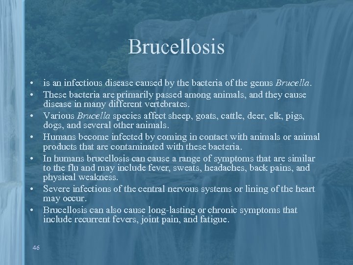 Brucellosis • is an infectious disease caused by the bacteria of the genus Brucella.
