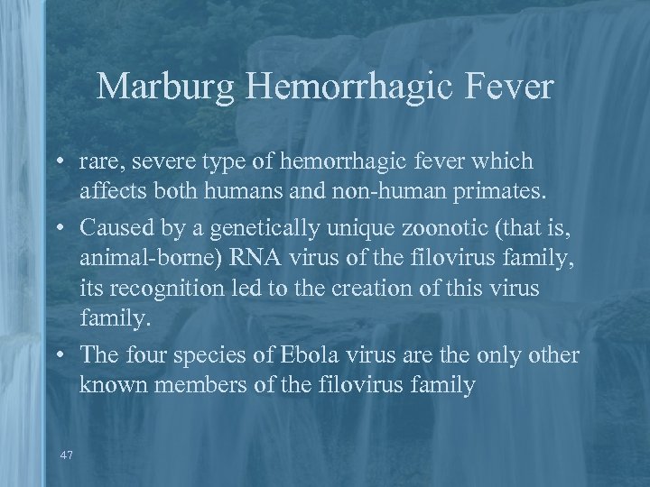 Marburg Hemorrhagic Fever • rare, severe type of hemorrhagic fever which affects both humans