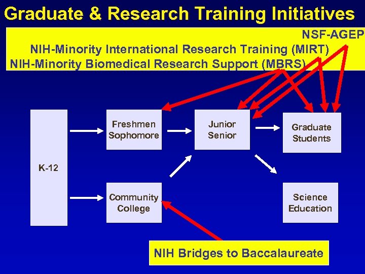 Graduate & Research Training Initiatives NSF-AGEP NIH-Minority International Research Training (MIRT) NIH-Minority Biomedical Research
