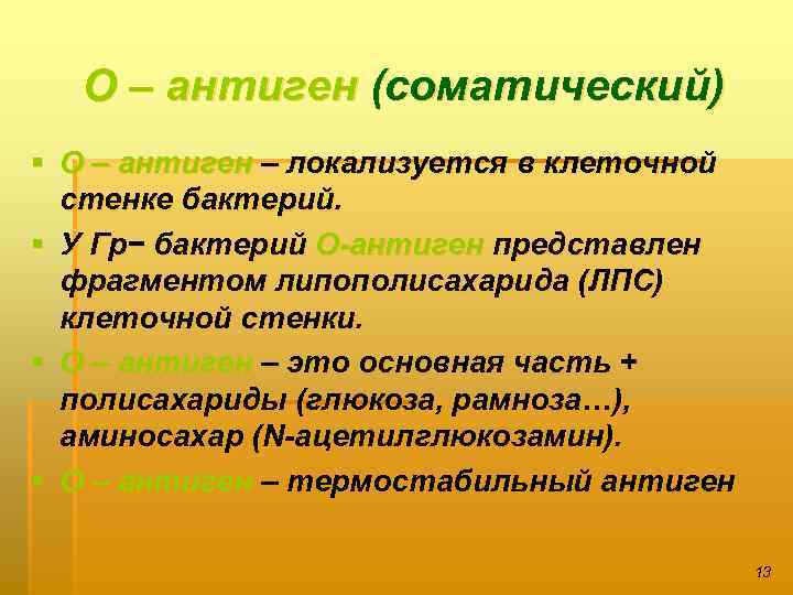 О – антиген (соматический) § О – антиген – локализуется в клеточной стенке бактерий.