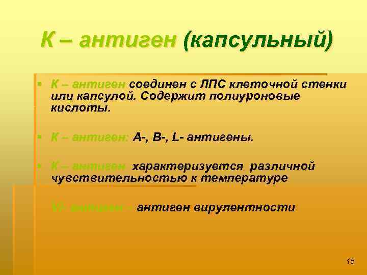 К – антиген (капсульный) § К – антиген соединен с ЛПС клеточной стенки или