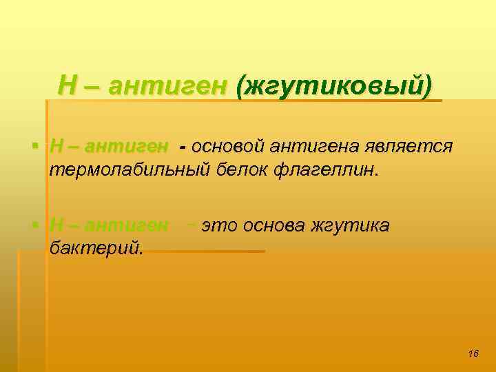 Н – антиген (жгутиковый) § Н – антиген - основой антигена является термолабильный белок