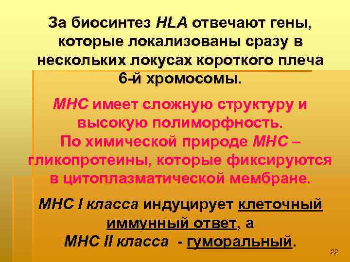 За биосинтез HLA отвечают гены, которые локализованы сразу в нескольких локусах короткого плеча 6