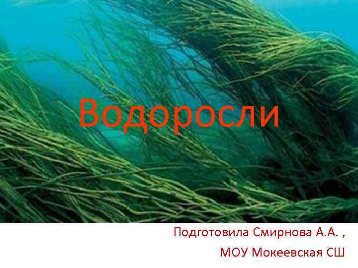 Водоросли Подготовила Смирнова А. А. , МОУ Мокеевская СШ 