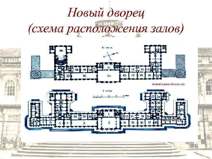 Новый дворец (схема расположения залов) 