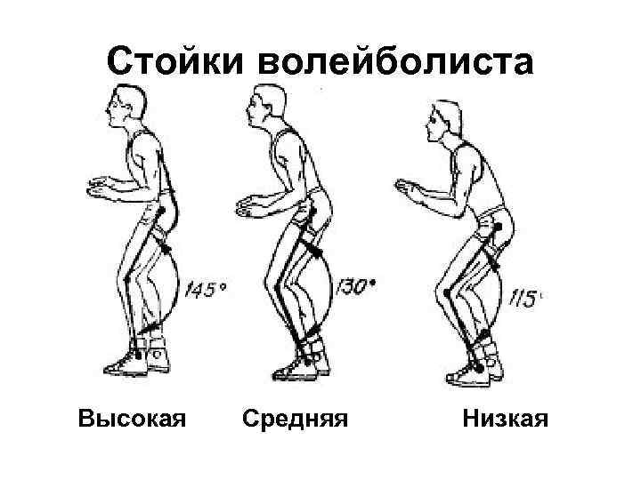 Стойки волейболиста Высокая Средняя Низкая 
