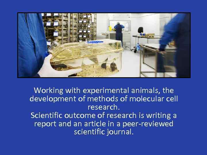 Working with experimental animals, the development of methods of molecular cell research. Scientific outcome