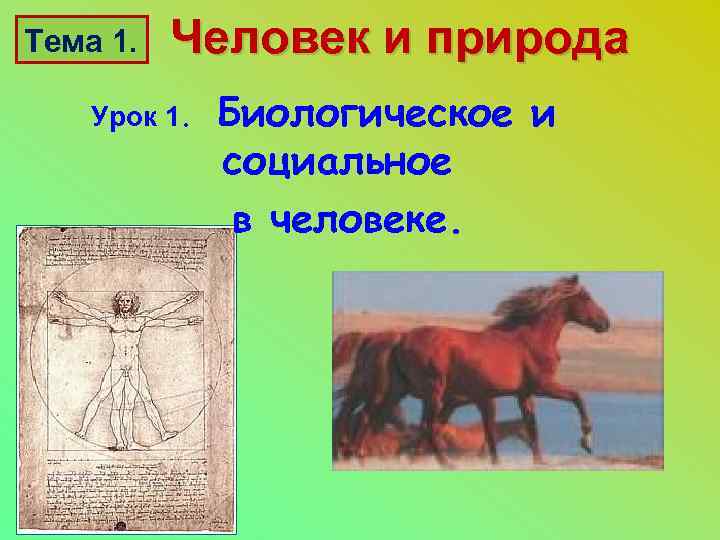 Тема 1. Человек и природа Урок 1. Биологическое и социальное в человеке. 
