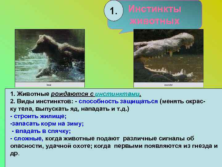 1. Инстинкты животных 1. Животные рождаются с инстинктами. 2. Виды инстинктов: - способность защищаться