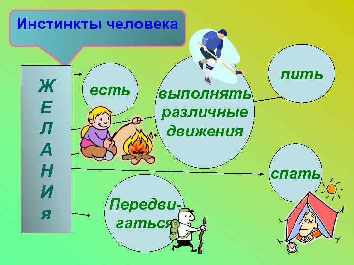 Инстинкты человека Ж Е Л А Н И я есть пить выполнять различные движения