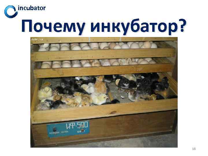 incubator Почему инкубатор? 18 