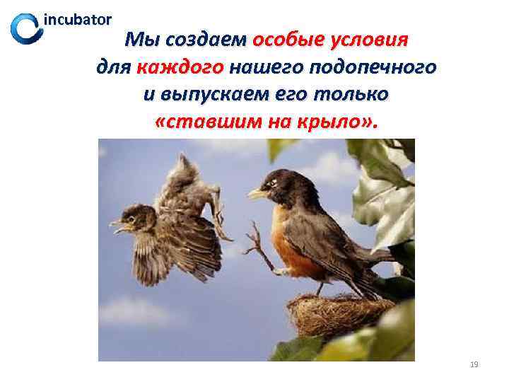 incubator Мы создаем особые условия для каждого нашего подопечного и выпускаем его только «ставшим