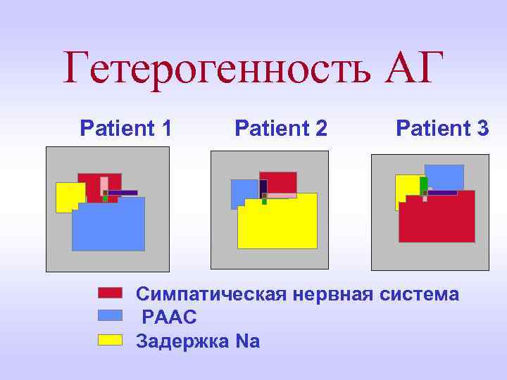 Гетерогенность АГ Patient 1 Patient 2 Patient 3 Симпатическая нервная система РААС Задержка Na