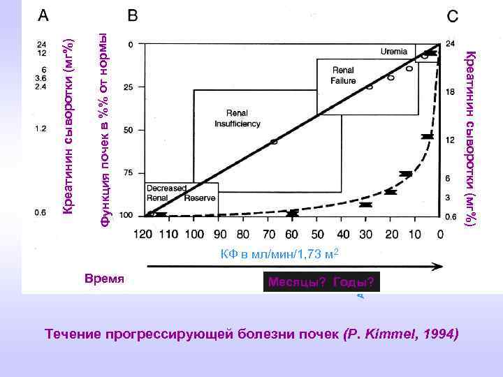 Азот мочевины сыворотки (мг%) Функция почек в %% от нормы Креатинин сыворотки (мг%) Время
