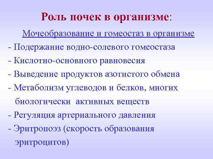 Роль почек в организме: Мочеобразование и гомеостаз в организме - Подержание водно-солевого гомеостаза -