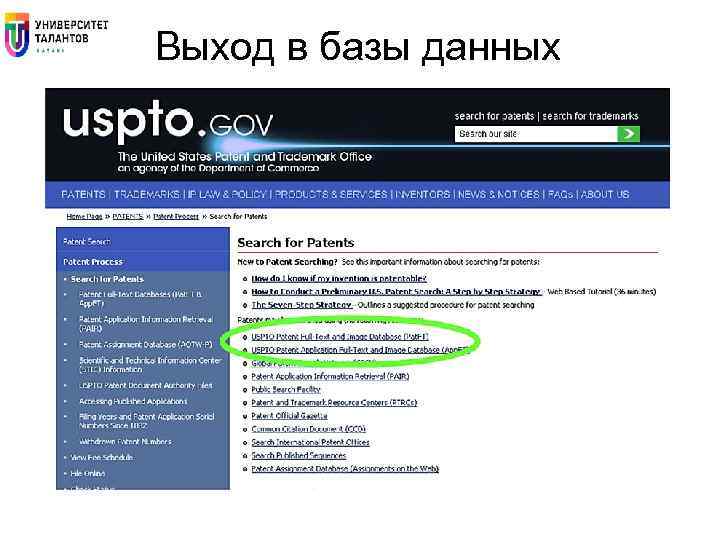 Выход в базы данных 