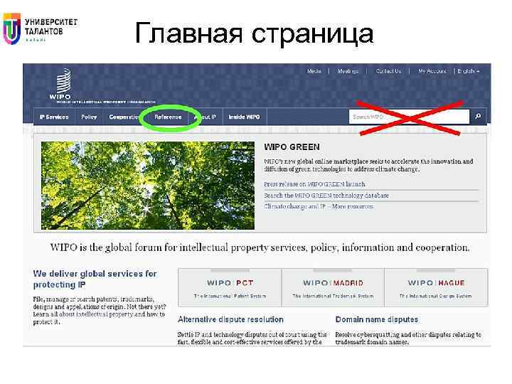 Главная страница 