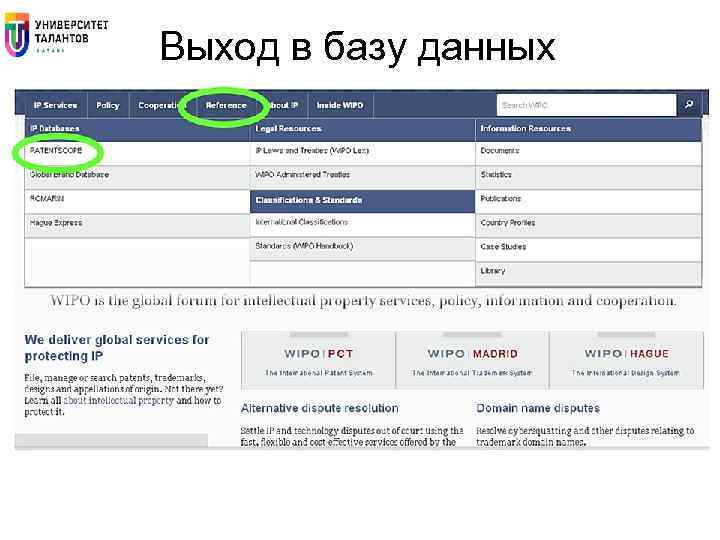 Выход в базу данных 