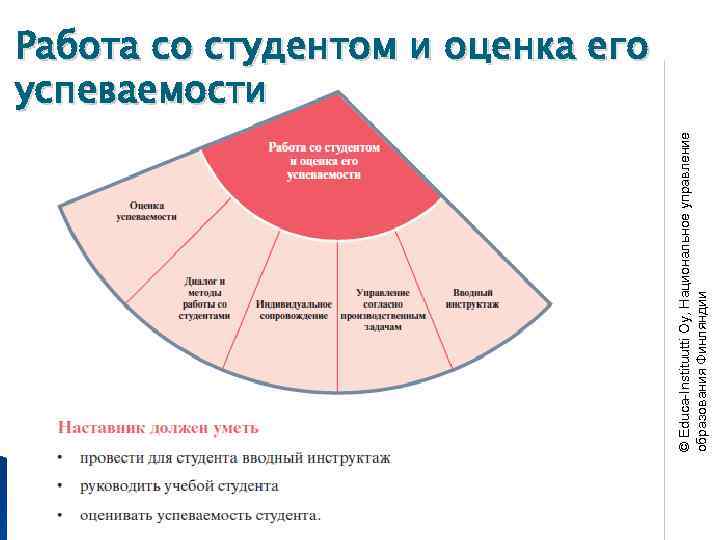 © Educa-Instituutti Oy, Национальное управление образования Финляндии Работа со студентом и оценка его успеваемости