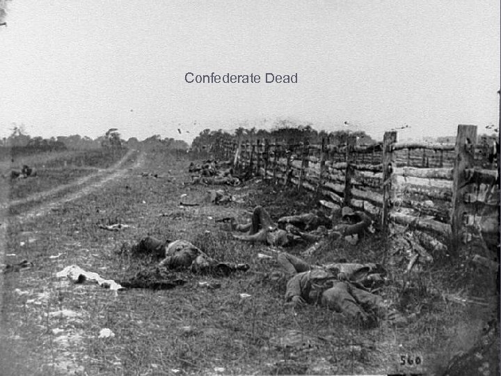 Confederate Dead 