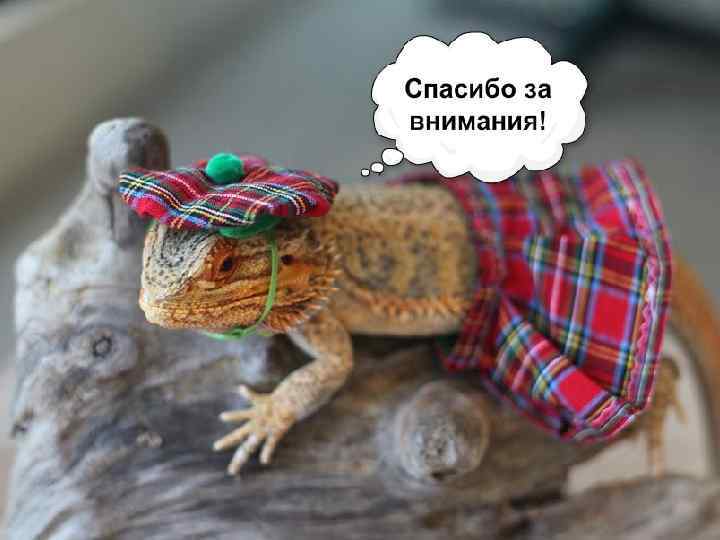 Спасибо за внимания! 