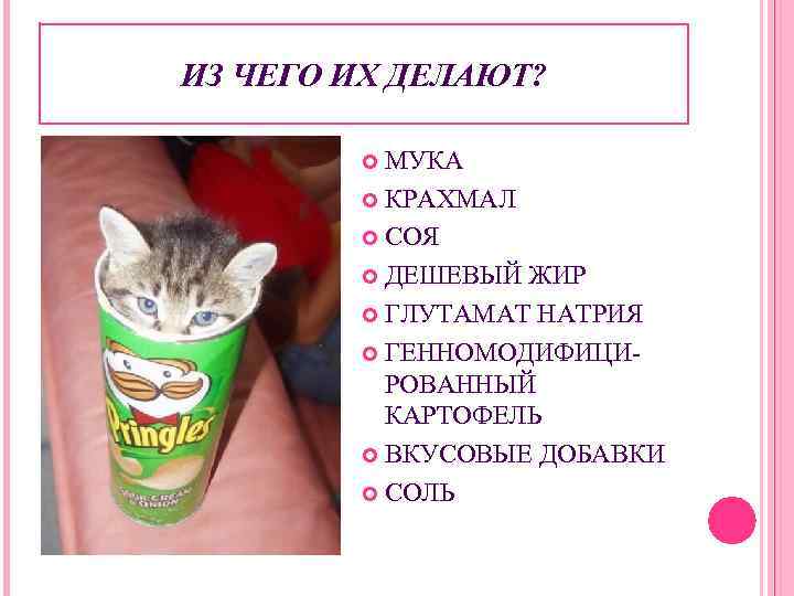 ИЗ ЧЕГО ИХ ДЕЛАЮТ? МУКА КРАХМАЛ СОЯ ДЕШЕВЫЙ ЖИР ГЛУТАМАТ НАТРИЯ ГЕННОМОДИФИЦИРОВАННЫЙ КАРТОФЕЛЬ ВКУСОВЫЕ