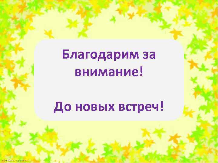 Благодарим за внимание! До новых встреч! 