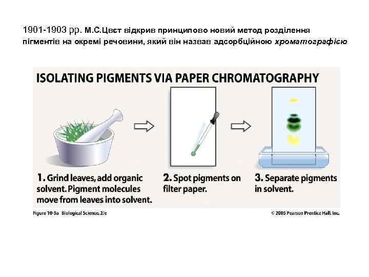 1901 -1903 рр. М. С. Цвєт відкрив принципово новий метод розділення пігментів на окремі