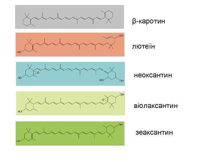 β-каротин лютеїн неоксантин віолаксантин зеаксантин 